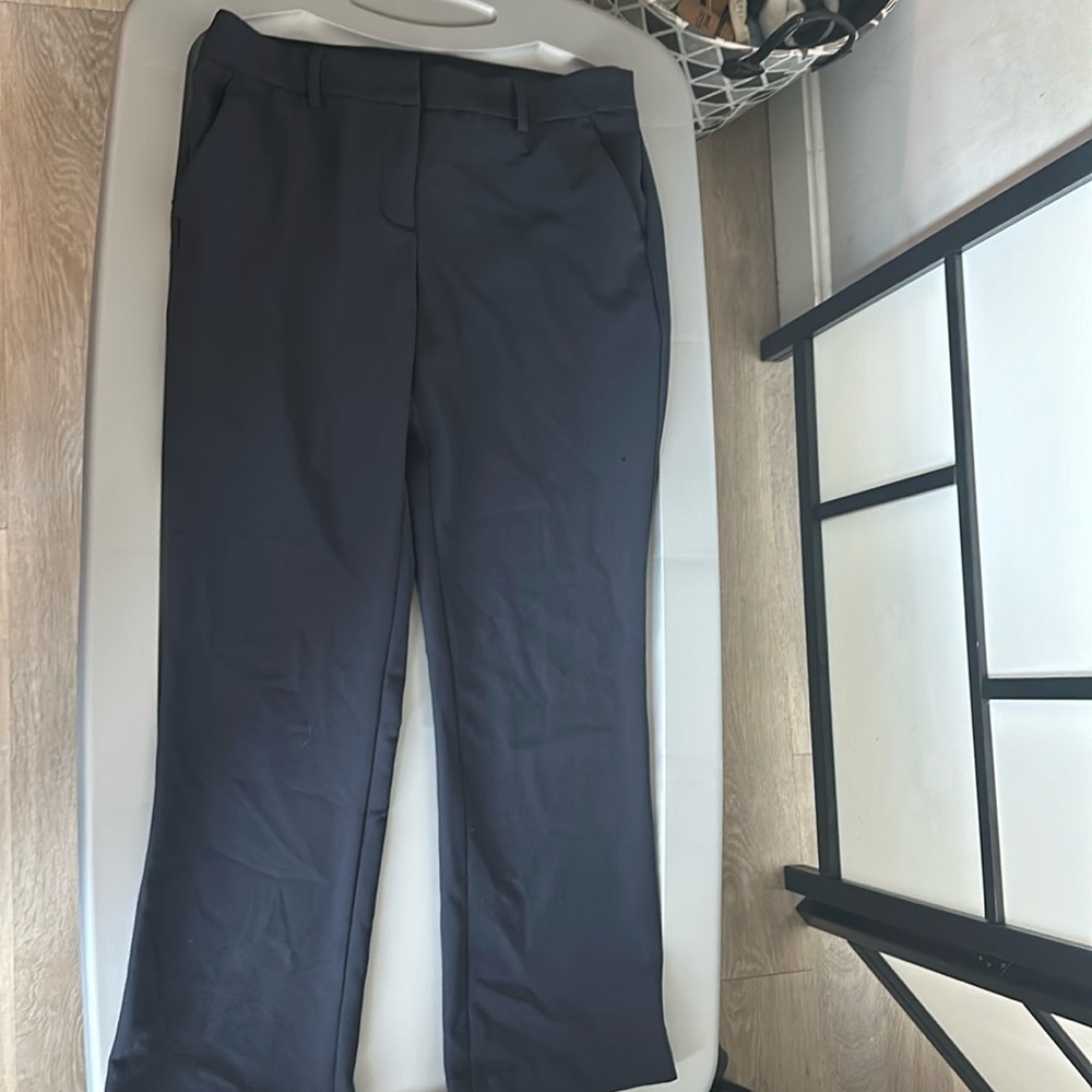 Express Dress Pants
